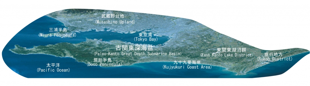 古関東深海盆